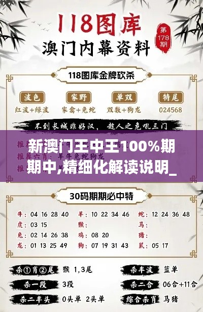 新澳門王中王100%期期中,精細(xì)化解讀說明_戶外版9.666