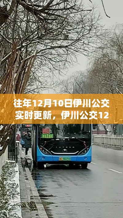 伊川公交實時更新回顧，時代的變遷與公交服務的進步歷程（12月10日更新）