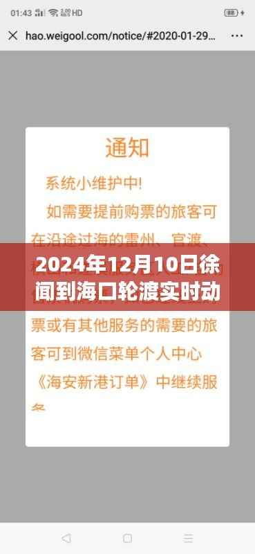 徐聞至?？谳喍蓽厍闀r光，跨海友情之旅實時動態(tài)