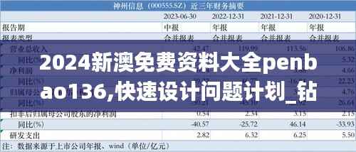2024新澳免費資料大全penbao136,快速設(shè)計問題計劃_鉆石版15.339