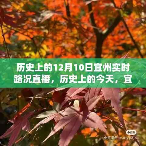 歷史上的今天與宜州實(shí)時(shí)路況直播回顧，領(lǐng)略不一樣的12月10日小紅書(shū)直播之旅
