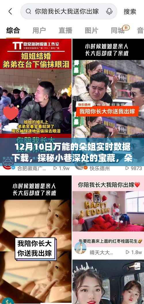 朵姐數(shù)據(jù)小鋪的奇妙之旅，探秘小巷深處的寶藏與實(shí)時數(shù)據(jù)下載