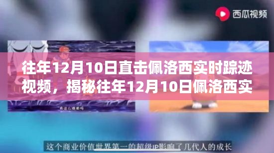 揭秘佩洛西往年12月10日實(shí)時(shí)蹤跡，獨(dú)家視頻深度追蹤報(bào)道揭秘真相