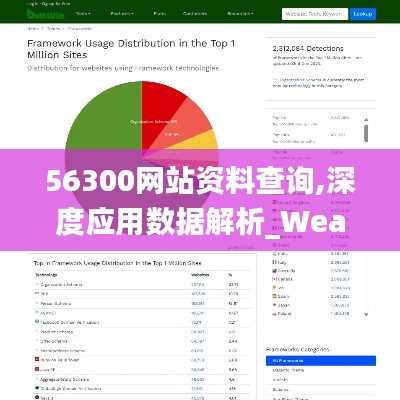 56300網(wǎng)站資料查詢,深度應(yīng)用數(shù)據(jù)解析_WearOS2.325