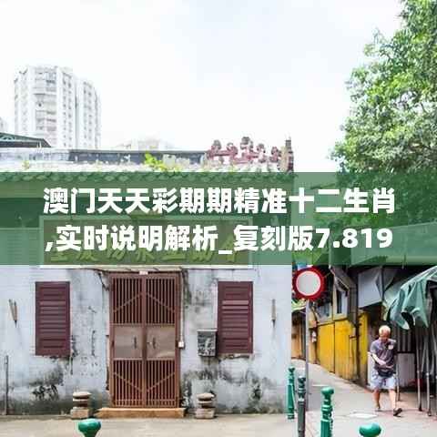 澳門天天彩期期精準(zhǔn)十二生肖,實時說明解析_復(fù)刻版7.819