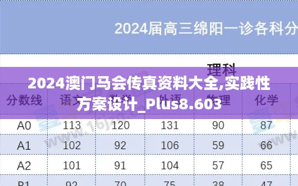 2024澳門(mén)馬會(huì)傳真資料大全,實(shí)踐性方案設(shè)計(jì)_Plus8.603