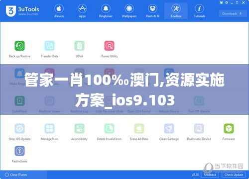 管家一肖100‰澳門,資源實施方案_ios9.103