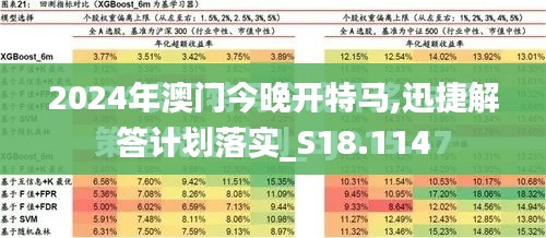 2024年澳門今晚開特馬,迅捷解答計(jì)劃落實(shí)_S18.114