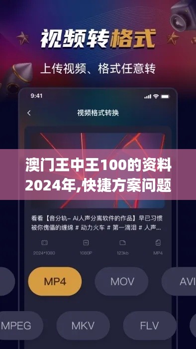 澳門王中王100的資料2024年,快捷方案問題解決_AR版1.415