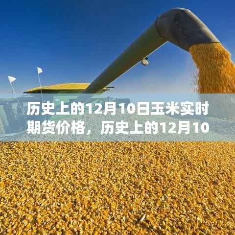 回顧與洞察，歷史上的玉米實時期貨價格變動分析——以12月10日為例