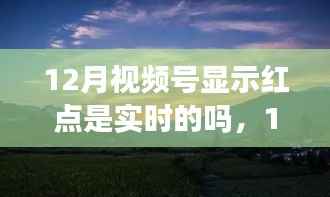 12月紅點(diǎn)探秘，實(shí)時(shí)追蹤自然美景，尋找內(nèi)心寧?kù)o的旅程