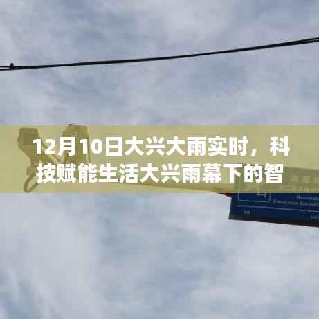 科技守護(hù)大興雨幕，智能氣象監(jiān)測(cè)系統(tǒng)與高科技產(chǎn)品的體驗(yàn)之旅