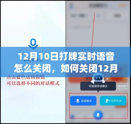 詳細(xì)步驟指南，如何關(guān)閉打牌實(shí)時(shí)語(yǔ)音功能（適用于12月10日操作）