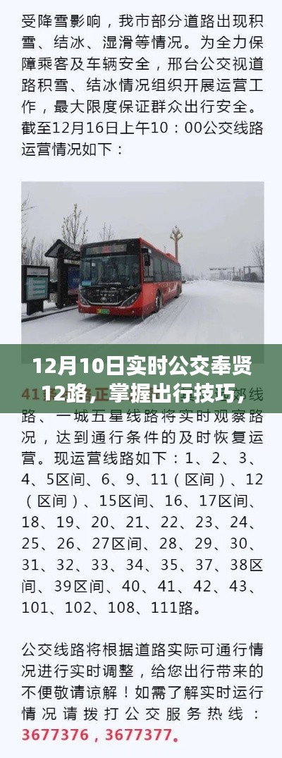 12月10日實時公交奉賢12路出行指南與使用技巧