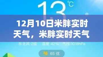 米胖實時天氣查詢指南，輕松獲取12月10日精準(zhǔn)天氣預(yù)報