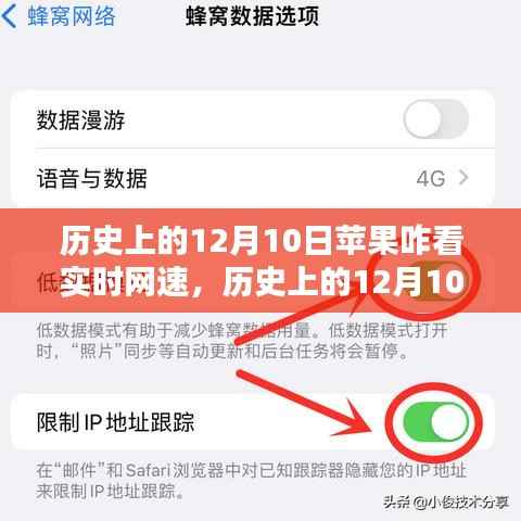 歷史上的12月10日，蘋果網(wǎng)速實(shí)時(shí)監(jiān)測軟件深度解析與評(píng)測