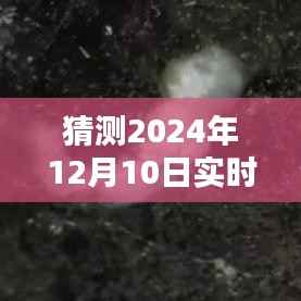 2024年隕石實(shí)時(shí)檢測(cè)軟件下載與操作指南，預(yù)測(cè)潛在隕石墜落