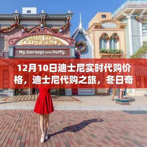 迪士尼代購(gòu)之旅，冬日價(jià)格揭秘與奇遇記