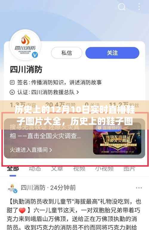 歷史上的鞋子圖片直播，12月10日的獨(dú)特視角與實(shí)時(shí)直播鞋子圖片大全