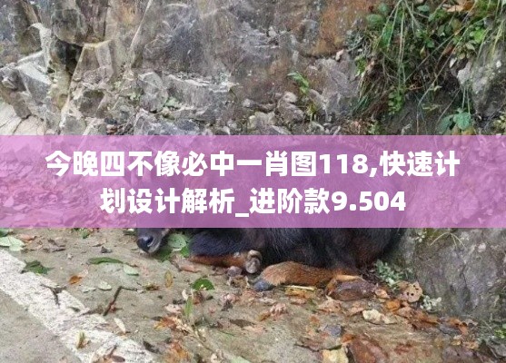 今晚四不像必中一肖圖118,快速計(jì)劃設(shè)計(jì)解析_進(jìn)階款9.504
