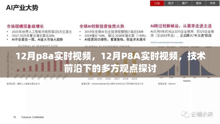 技術(shù)前沿下的多方觀點(diǎn)探討，12月P8A實(shí)時(shí)視頻解析