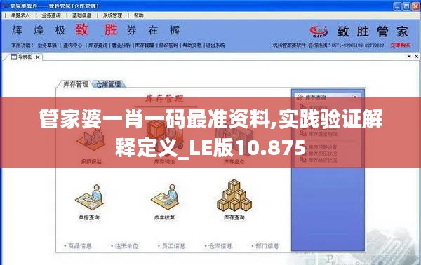 管家婆一肖一碼最準(zhǔn)資料,實踐驗證解釋定義_LE版10.875