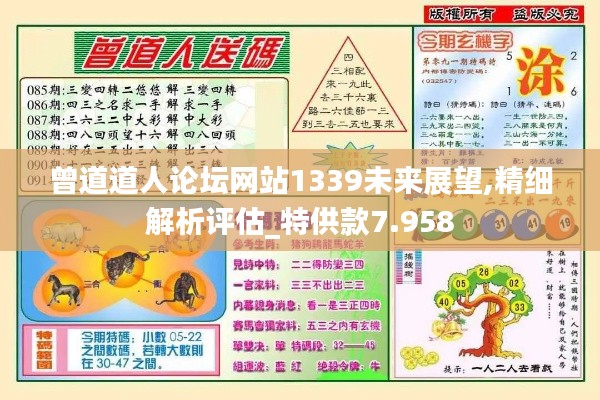 曾道道人論壇網站1339未來展望,精細解析評估_特供款7.958