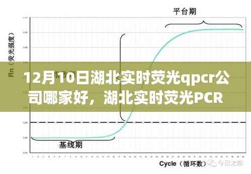 湖北實時熒光PCR公司深度解析，行業(yè)格局與個人觀點，探尋最佳PCR服務商于12月10日之時。