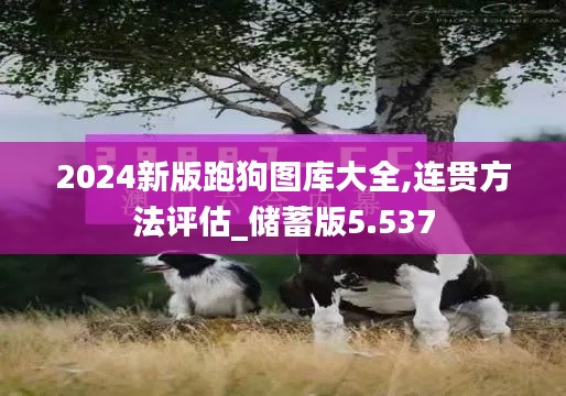 2024新版跑狗圖庫大全,連貫方法評估_儲蓄版5.537