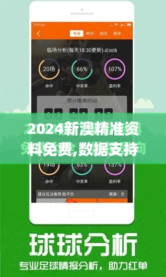 2024新澳精準(zhǔn)資料免費,數(shù)據(jù)支持計劃解析_6DM17.142