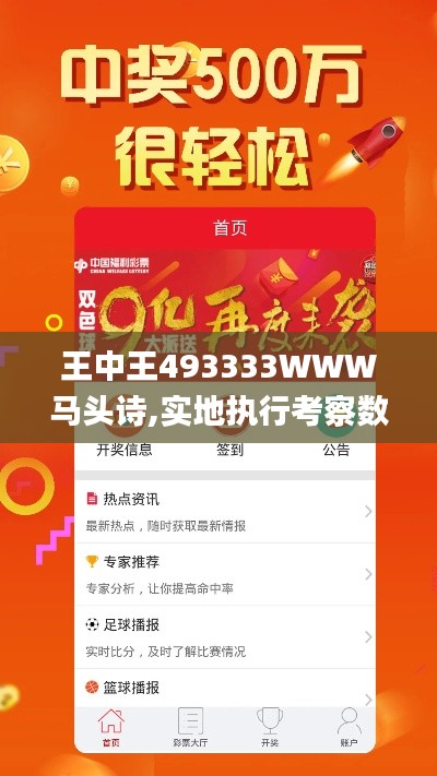 王中王493333WWW馬頭詩,實地執(zhí)行考察數(shù)據(jù)_挑戰(zhàn)版2.356