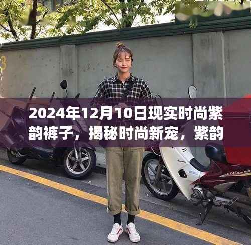 2024年觀察，紫韻褲子揭秘時(shí)尚新寵的魅力