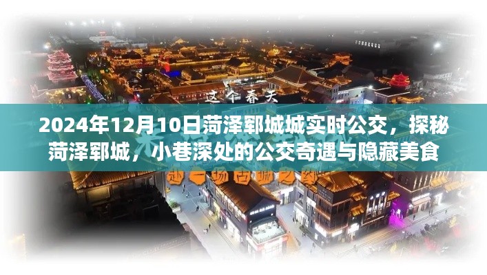 探秘菏澤鄆城公交奇遇與隱藏美食，2024年12月10日實(shí)時(shí)公交指南