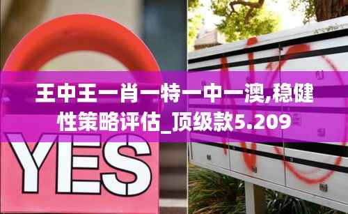 王中王一肖一特一中一澳,穩(wěn)健性策略評估_頂級款5.209