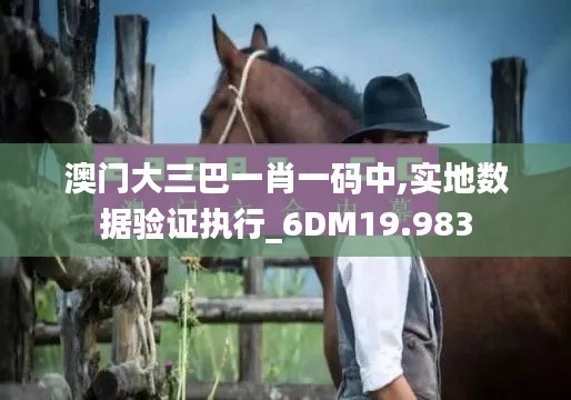 澳門大三巴一肖一碼中,實地數據驗證執(zhí)行_6DM19.983
