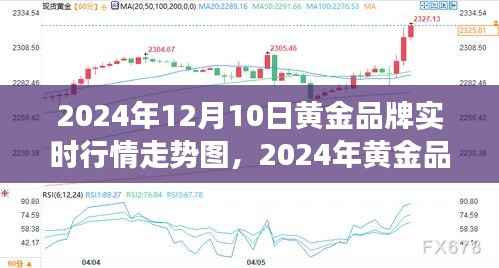 黃金品牌行情走勢深度解析，實(shí)時(shí)行情圖與未來展望（2024年黃金市場趨勢預(yù)測）