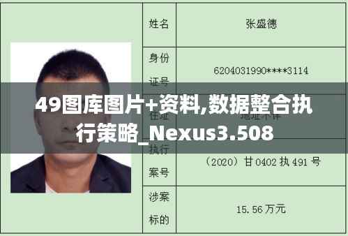 49圖庫圖片+資料,數(shù)據(jù)整合執(zhí)行策略_Nexus3.508