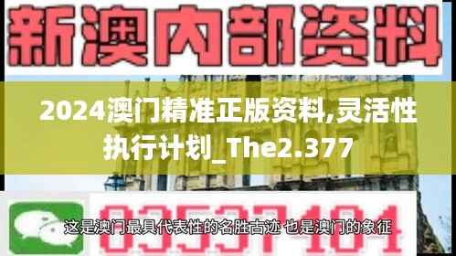 2024澳門精準(zhǔn)正版資料,靈活性執(zhí)行計(jì)劃_The2.377