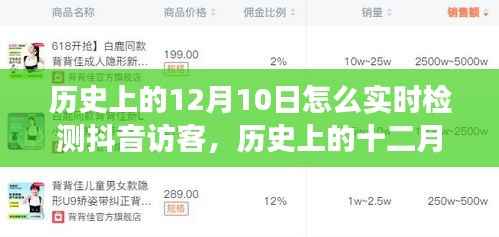 揭秘抖音訪客實時檢測背后的故事與影響，歷史上的十二月十日如何實時追蹤抖音訪客動態(tài)