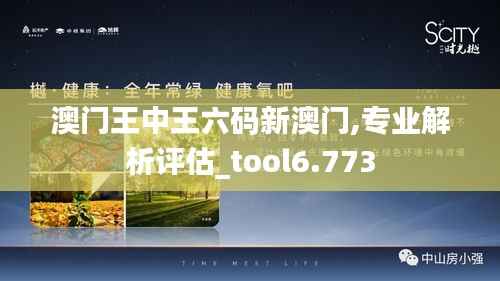 澳門王中王六碼新澳門,專業(yè)解析評估_tool6.773