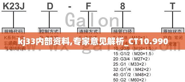 kj33內部資料,專家意見解析_CT10.990