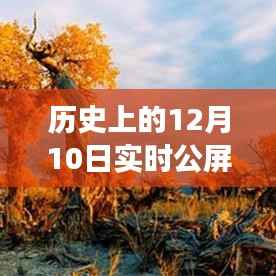 透過(guò)直播鏡頭看歷史變遷，十二月十日公屏評(píng)論回顧與解讀