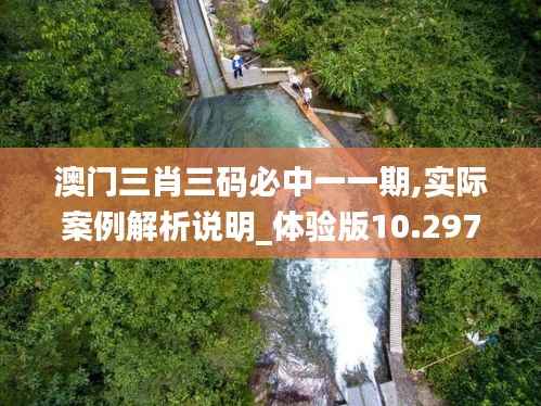 澳門(mén)三肖三碼必中一一期,實(shí)際案例解析說(shuō)明_體驗(yàn)版10.297