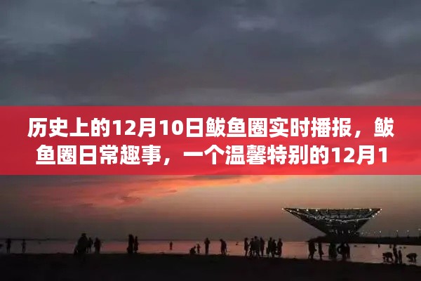 溫馨特別的鲅魚(yú)圈日常趣事，歷史上的十二月十日播報(bào)