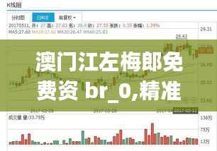 澳門(mén)江左梅郎免費(fèi)資 br_0,精準(zhǔn)解答解釋定義_Ultra6.102