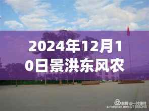 景洪東風(fēng)農(nóng)場(chǎng)實(shí)時(shí)天氣與心靈探尋之旅，自然寧?kù)o勝地體驗(yàn)記