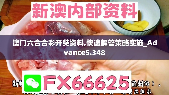 澳門六合合彩開奘資料,快速解答策略實施_Advance5.348