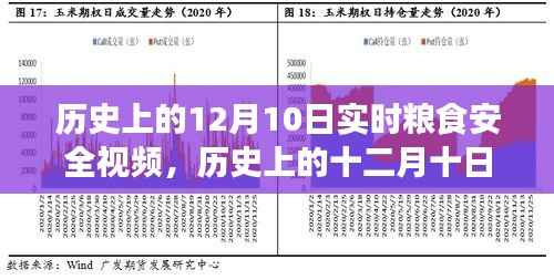 歷史上的十二月十日，實時糧食安全視頻背后的深遠(yuǎn)影響探索