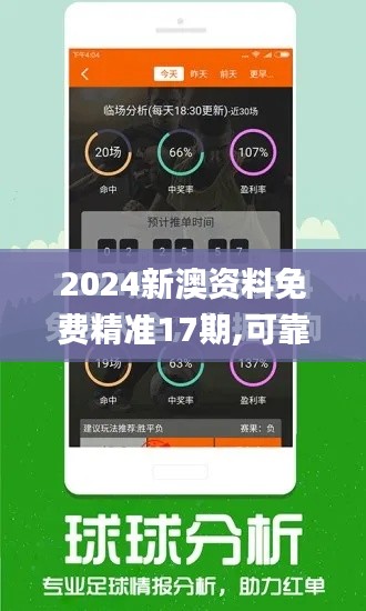 2024新澳資料免費(fèi)精準(zhǔn)17期,可靠執(zhí)行計(jì)劃策略_尊貴版5.887
