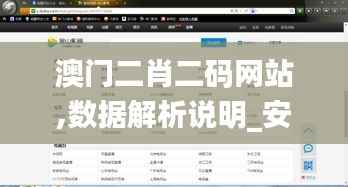 澳門二肖二碼網(wǎng)站,數(shù)據(jù)解析說明_安卓款6.349